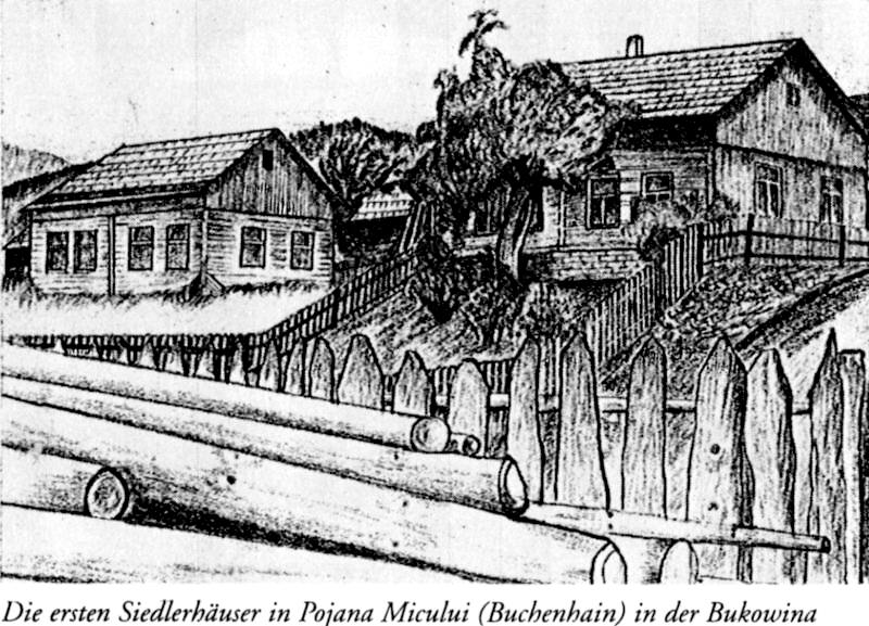 Die ersten Siedlerhuser in Pojana Micului (Buchenhain) in der Bukowina