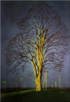 Linde in der D�mmerung - Walter Welisch - Maler und Grafiker in Bad Griesbach, Germany